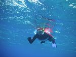 Snorkeling at Molokini
